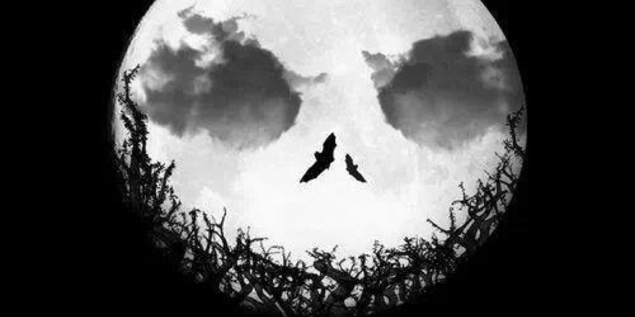 AJEW9779's profile banner image