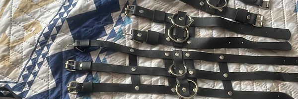 Bodycontrol7 Profile Banner