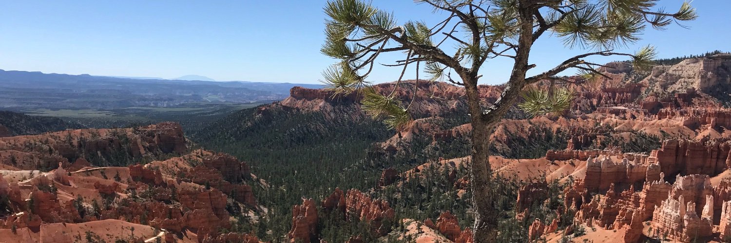 AlyssaValley's profile banner image