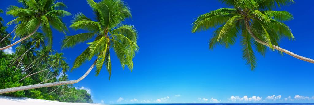 Shilligans Island banner