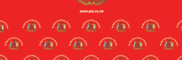 PSZ_Org Profile Banner