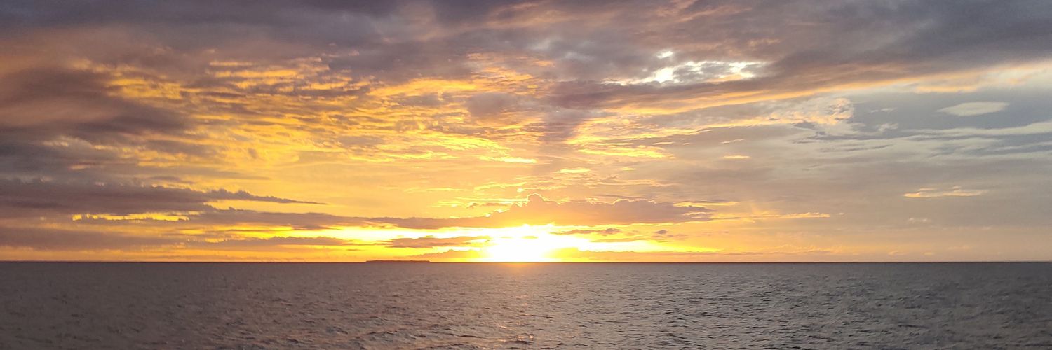 aphrodite 🦋 banner