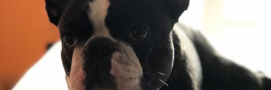gcami_1's profile banner image
