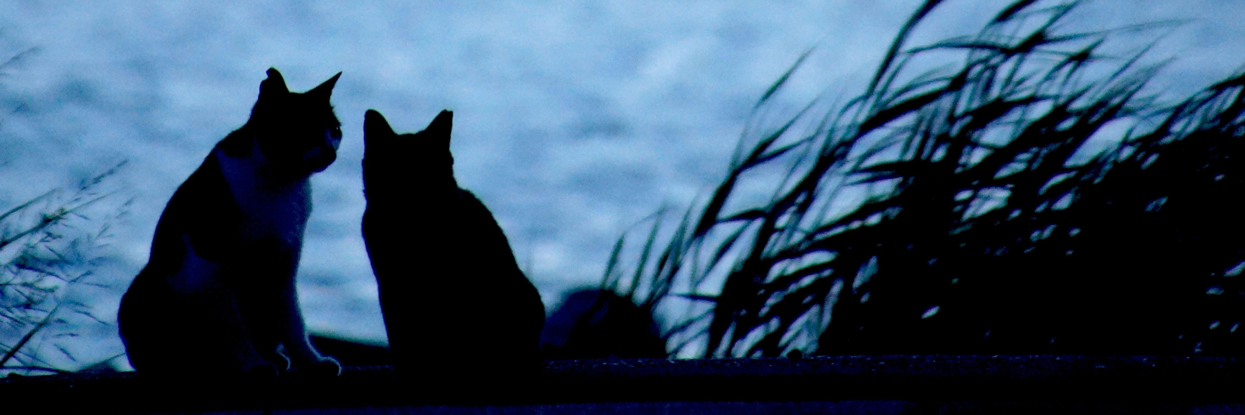 fixx02's profile banner image