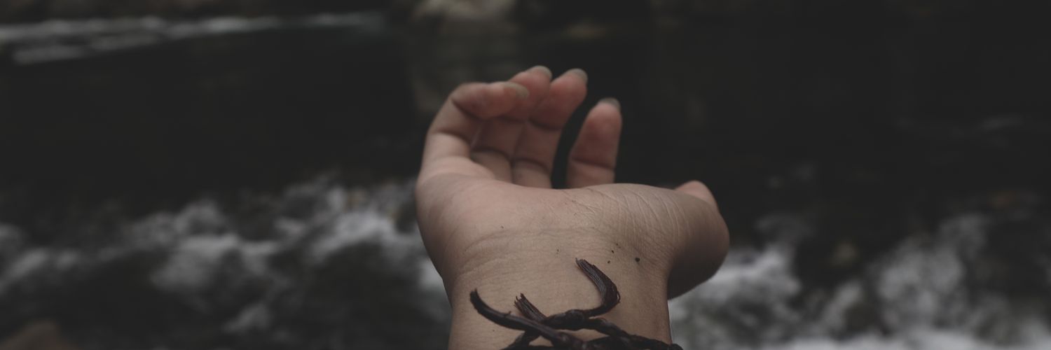 ghanii_s's profile banner image