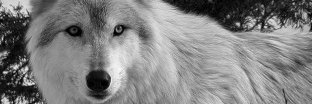 harold0021's profile banner image