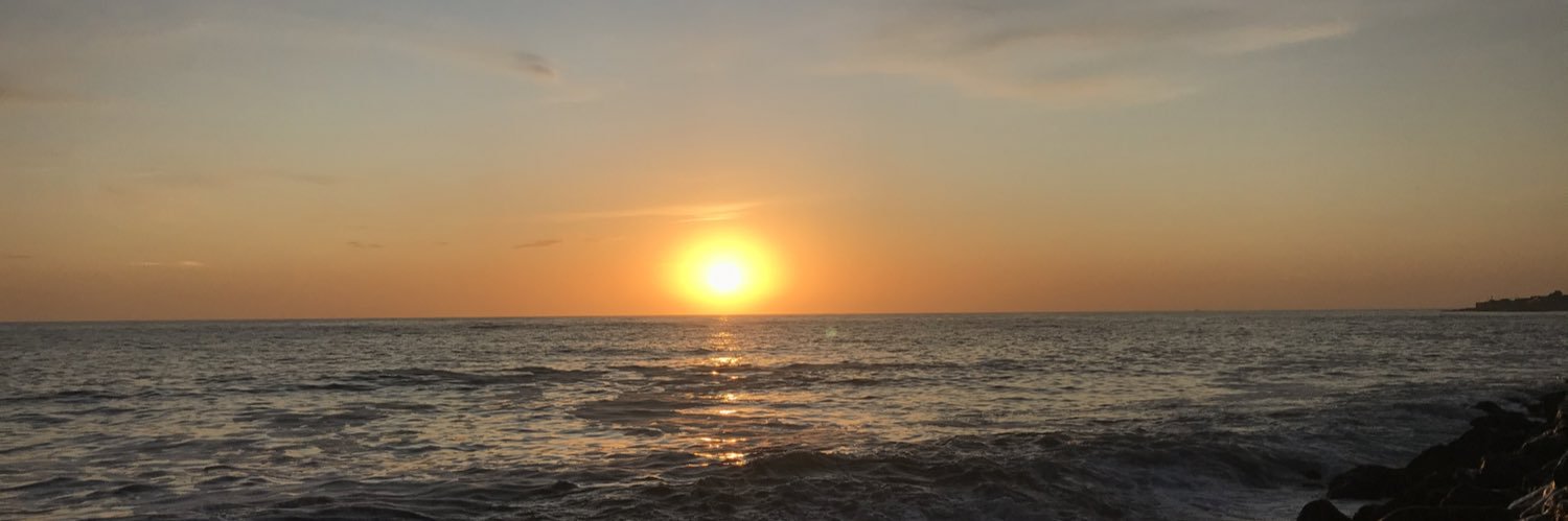 sole_regi's profile banner image