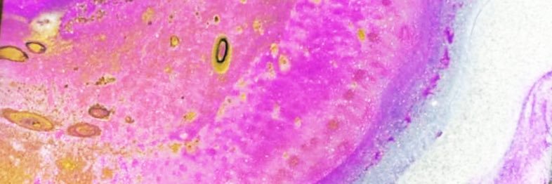 AHogness's profile banner image