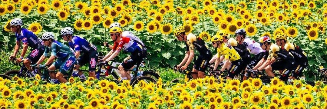 EliBmo_'s profile banner image