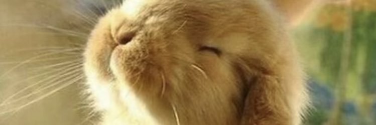 maarprincess's profile banner image