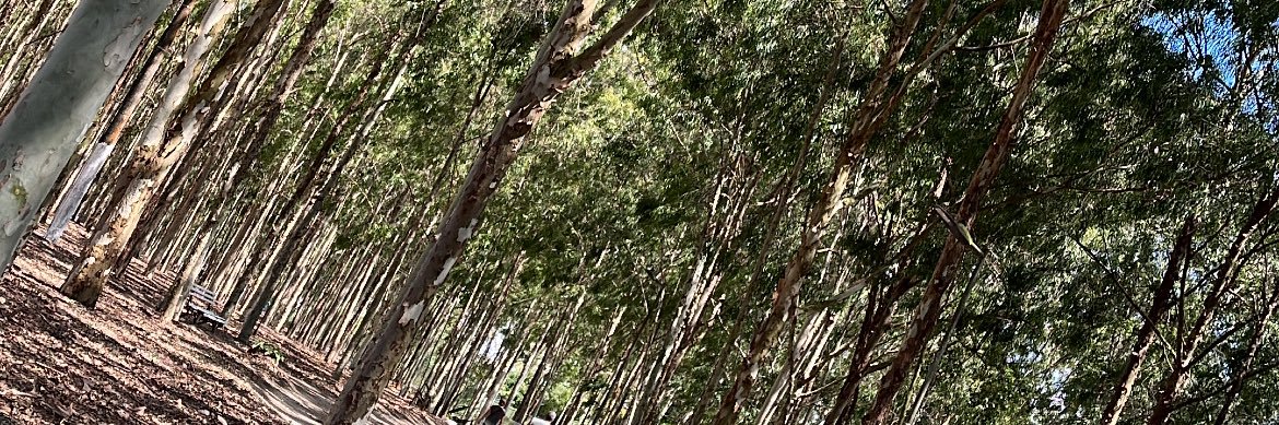EvellinyMetodio's profile banner image