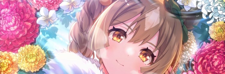 everydaysoysoy's profile banner image