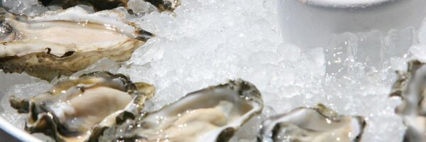 ElliottsSeattle Profile Banner