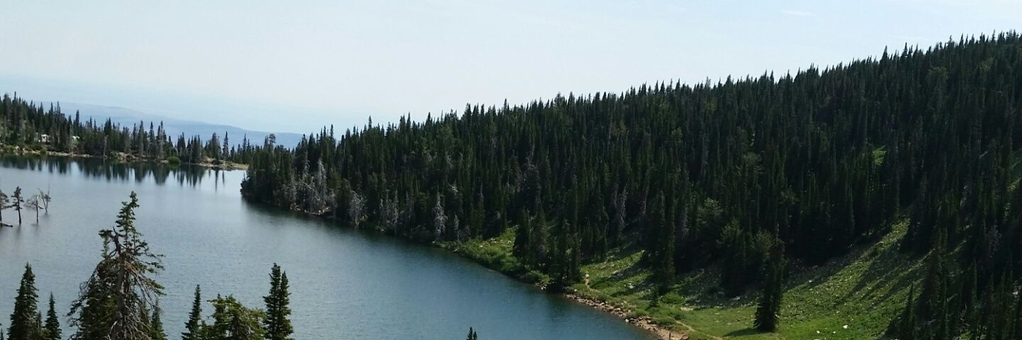zachsasher's profile banner image