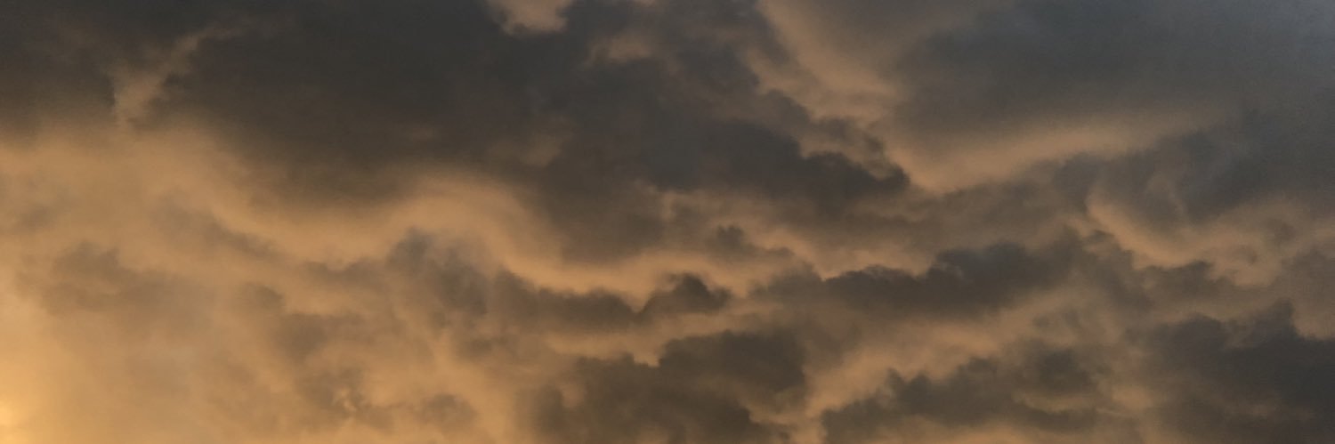 SSTF102's profile banner image
