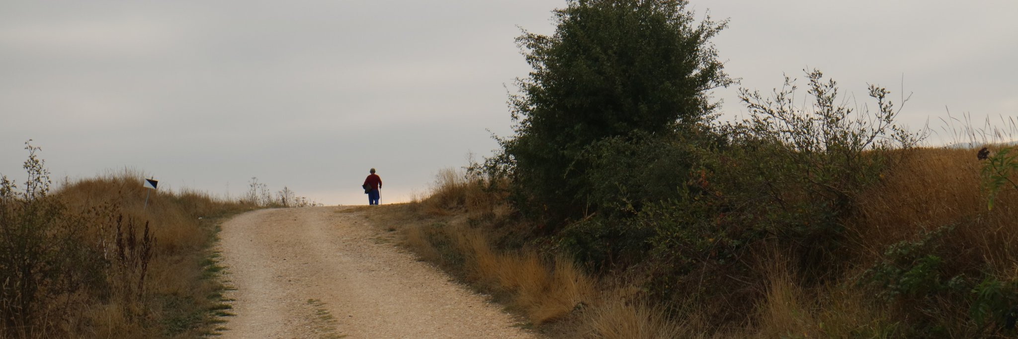 fbolanos's profile banner image