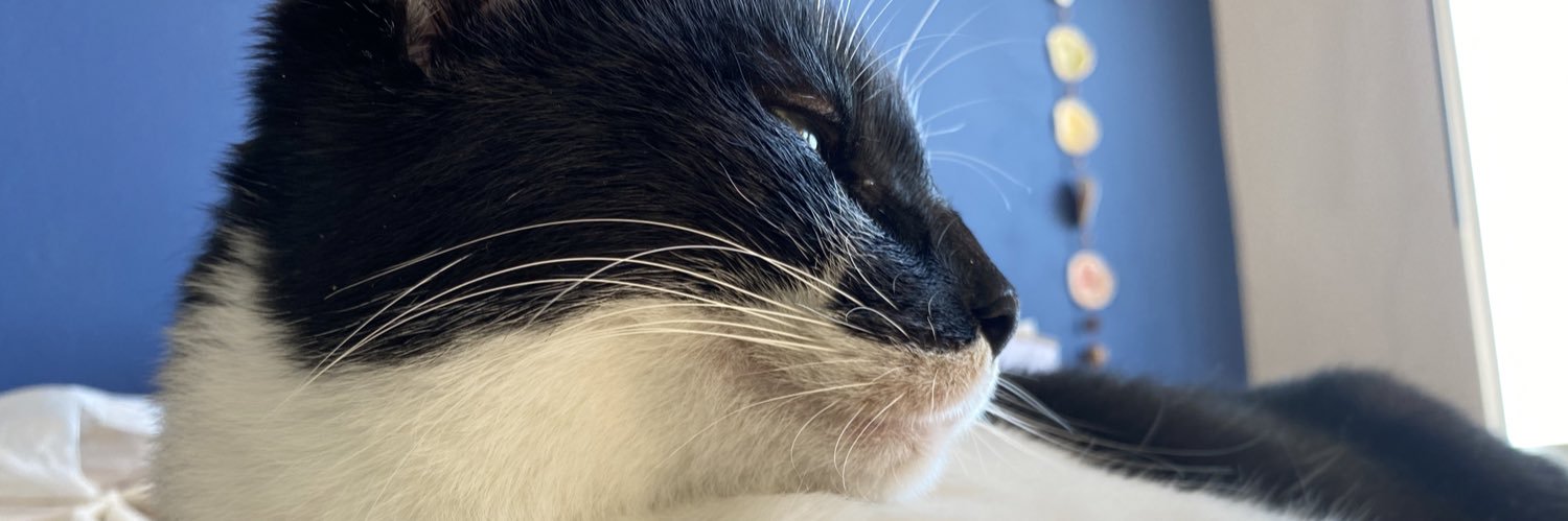 rfrdjsk's profile banner image
