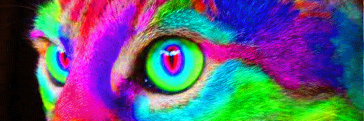 Scotishlad's profile banner image