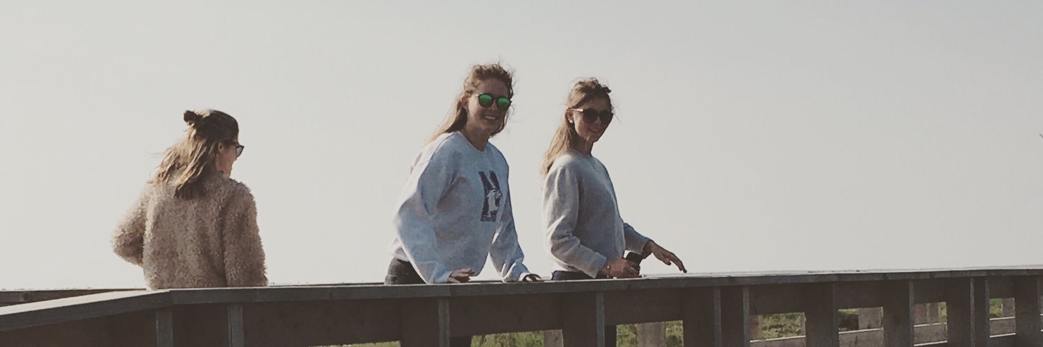porgewood's profile banner image