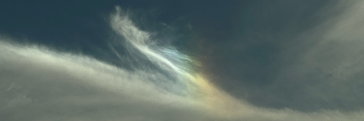 y_dg00's profile banner image