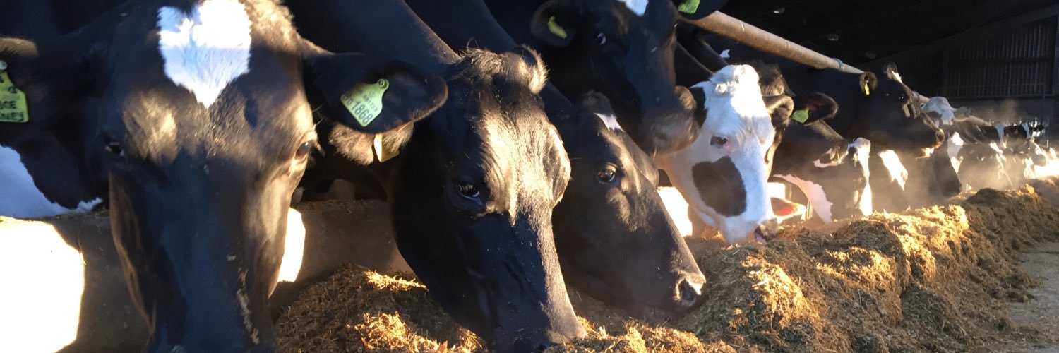 Donald Millar banner