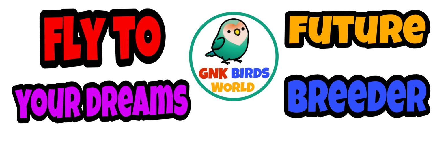 BirdsGnk's profile banner image
