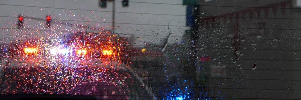 Michelle Speller banner