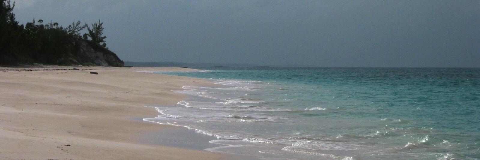 B. Frieling-Bailey banner