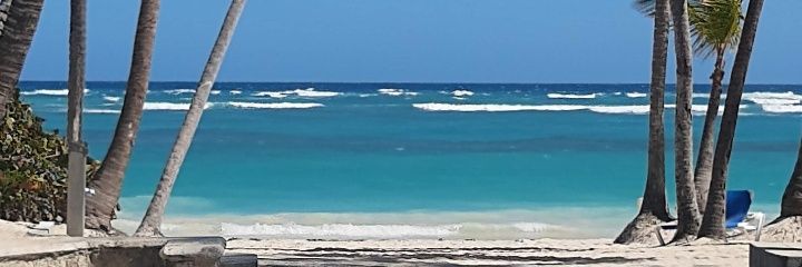 🌸 Ale 🌸 banner