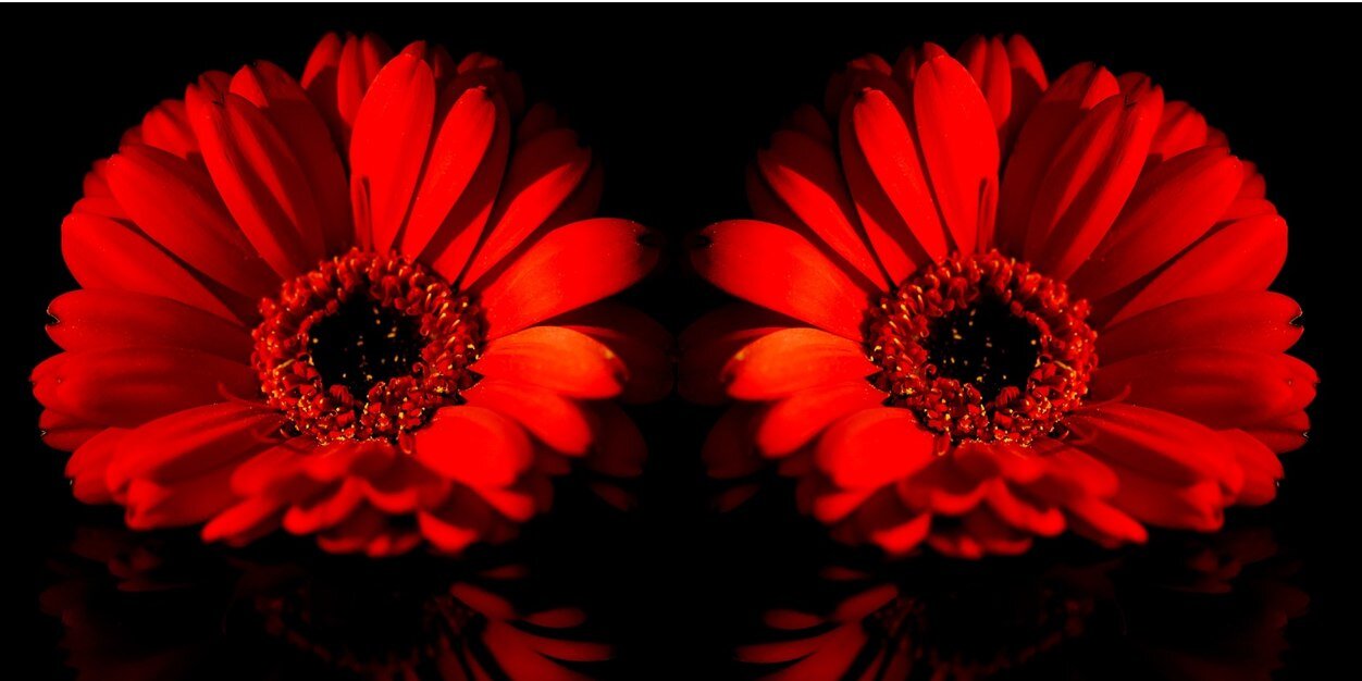 ameilleur's profile banner image