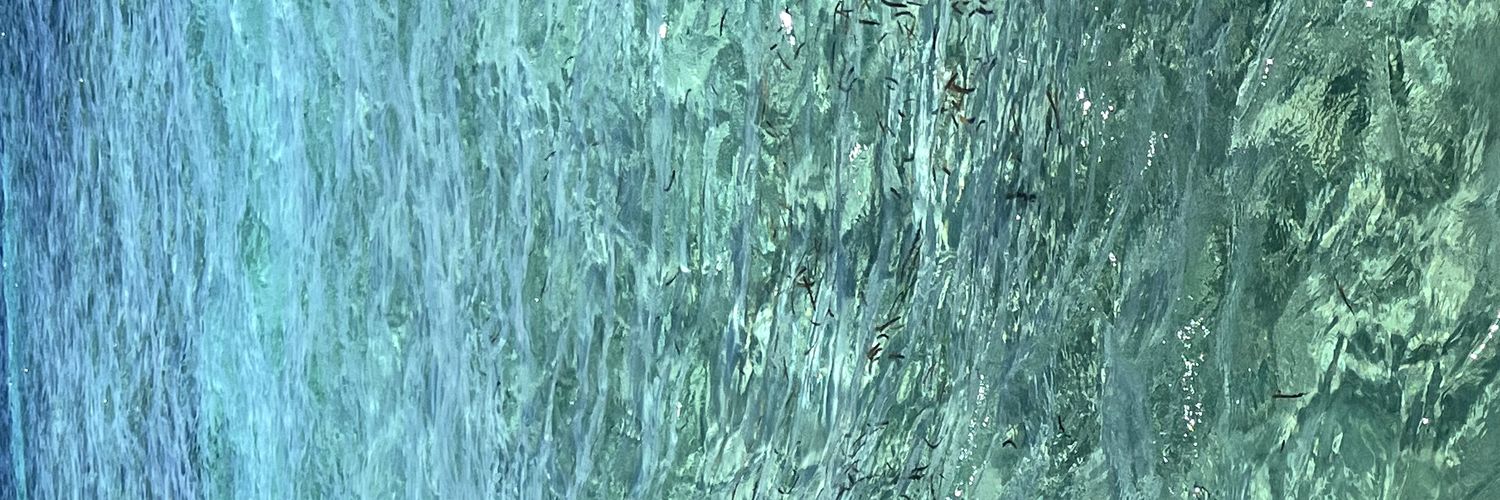yyyssssss's profile banner image