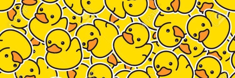 brendishsil's profile banner image