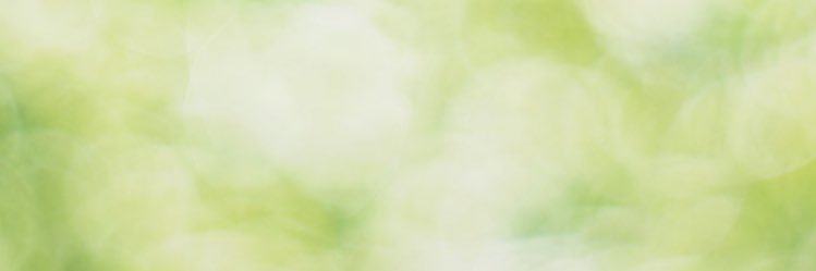 WeshSally's profile banner image