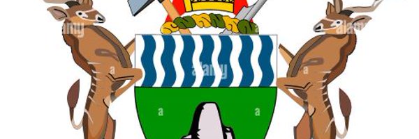 MoLGPWZim Profile Banner