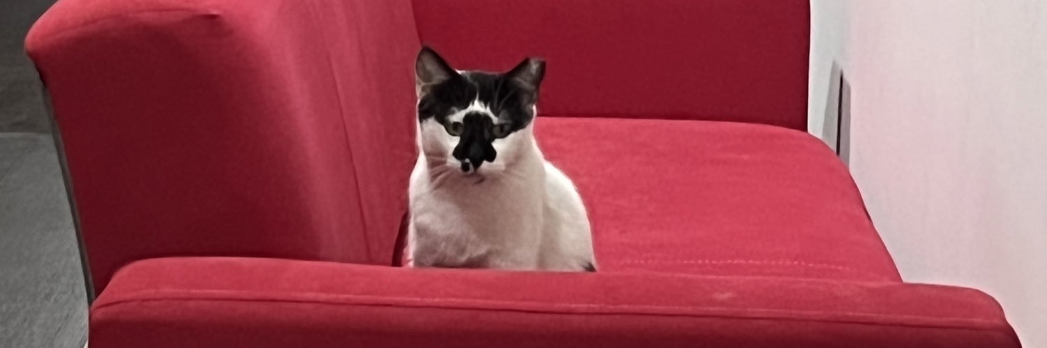 nutmesele's profile banner image