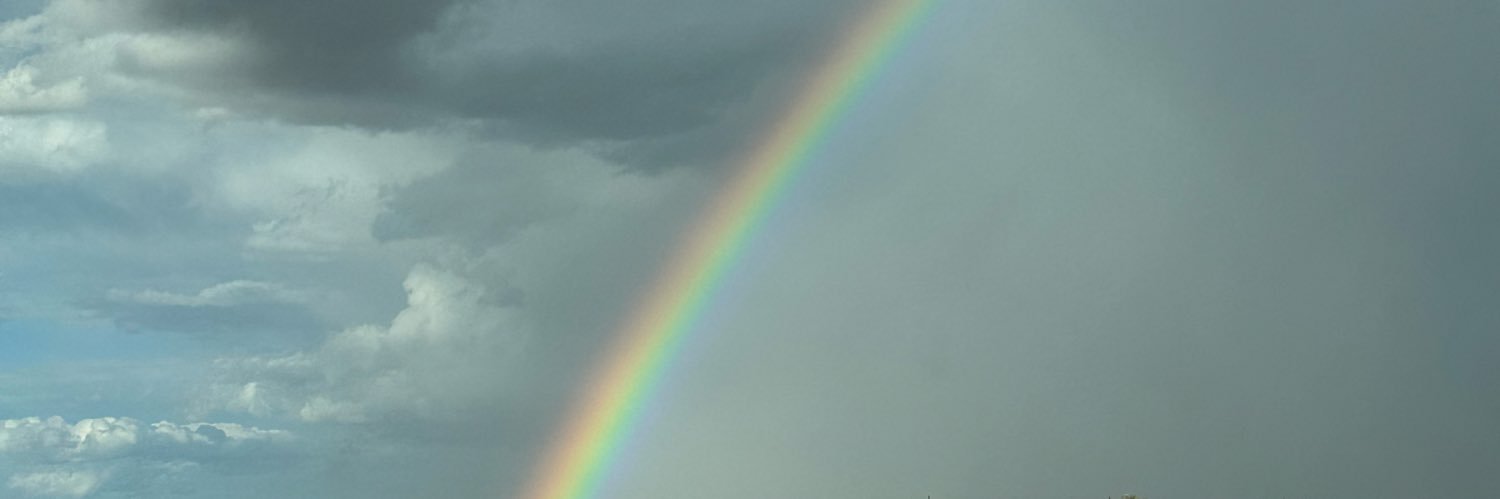 wlfinky's profile banner image