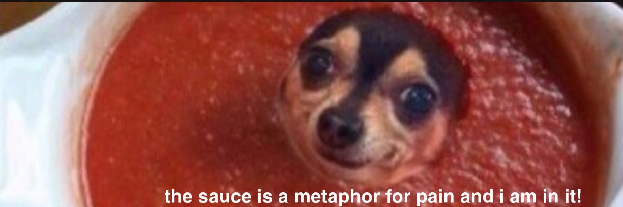 The Sauce Baybee banner