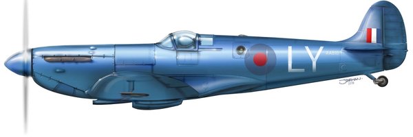 SpitfireAA810 Profile Banner