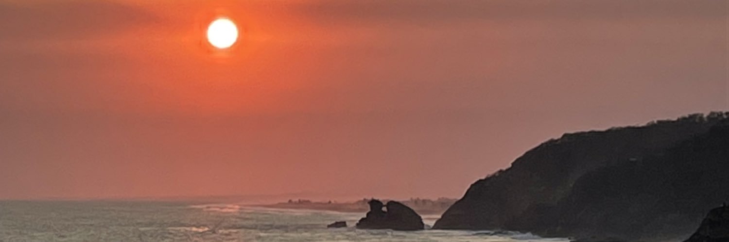 FAVULMAN's profile banner image
