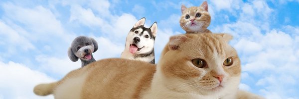 CjCannel Profile Banner