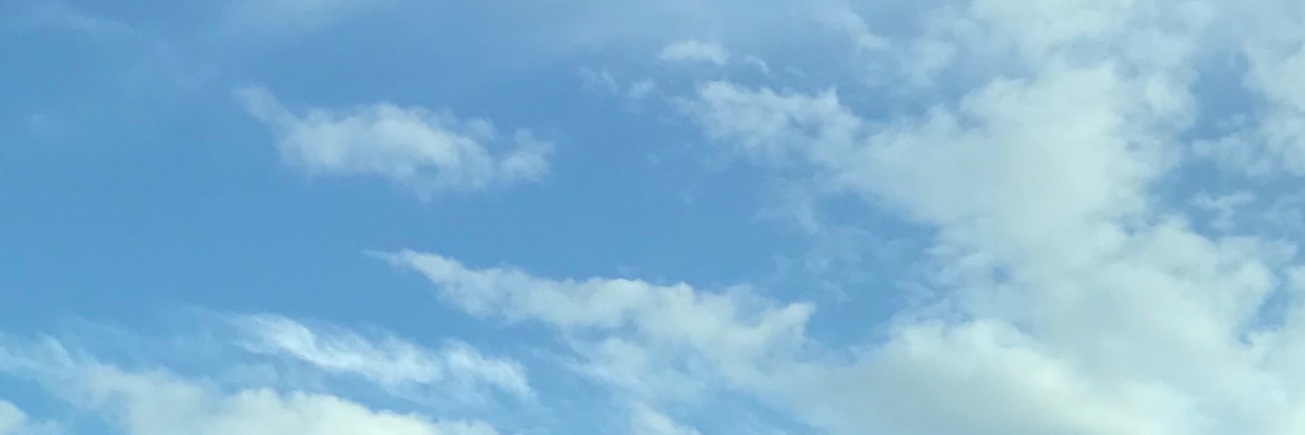 Ms. Beth Reilly banner