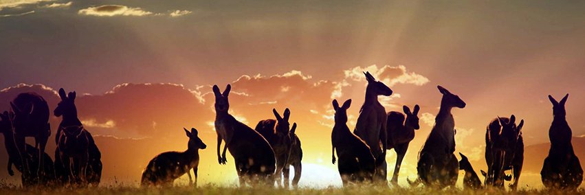 Tetrisnet's profile banner image