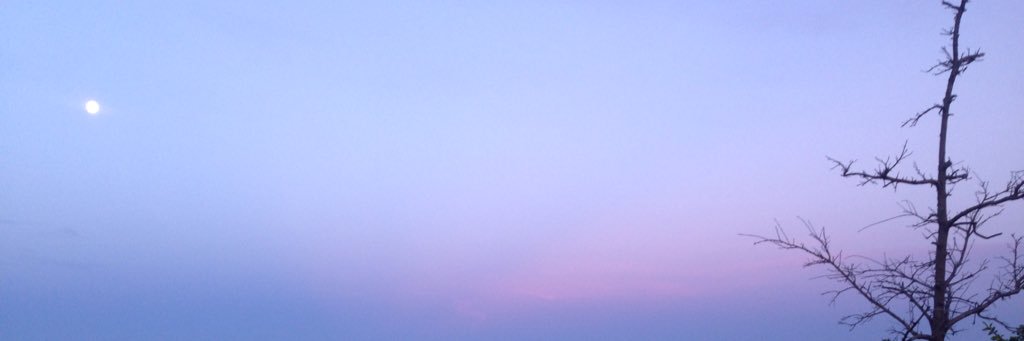 NatalieJHL's profile banner image