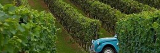 ptrck64469624's profile banner image