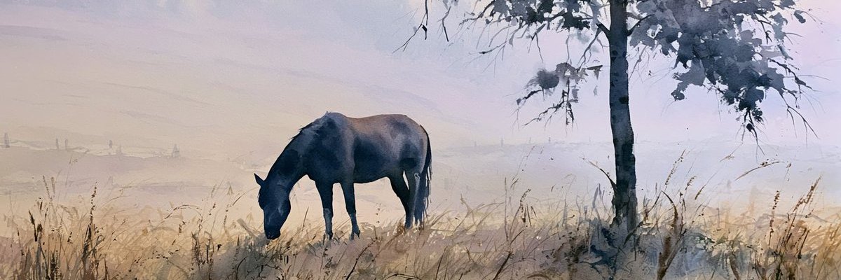 TienTr's profile banner image