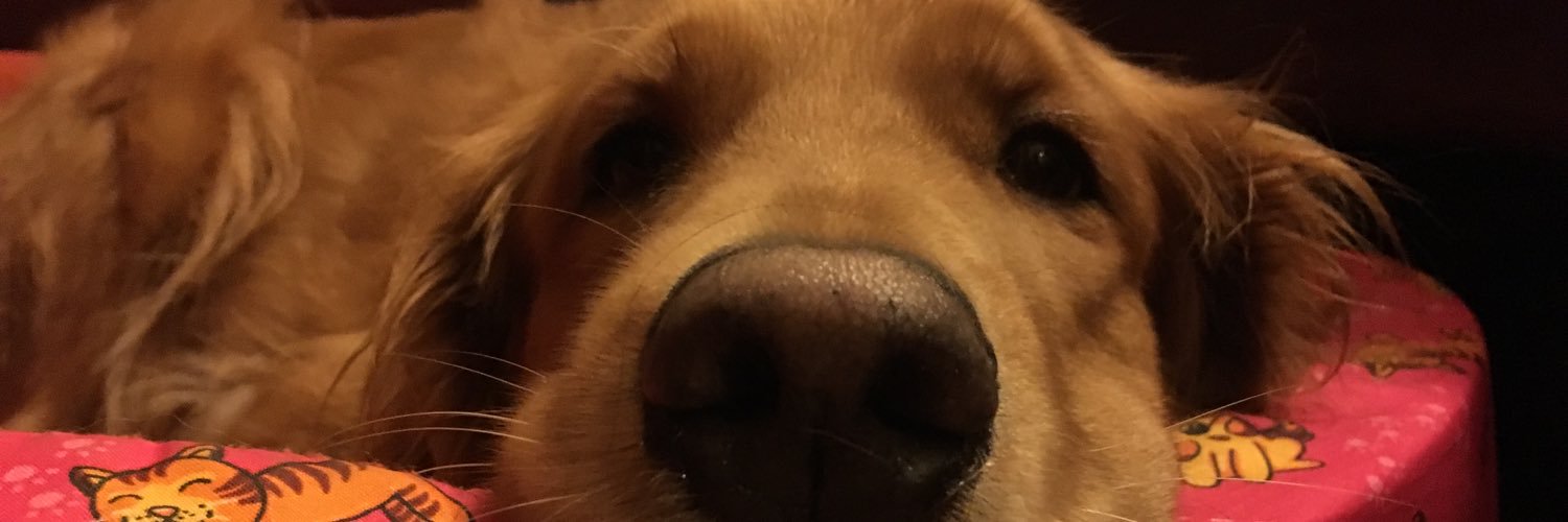 Pauula_Ch's profile banner image