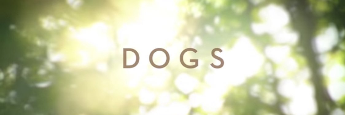 NetflixDogs banner