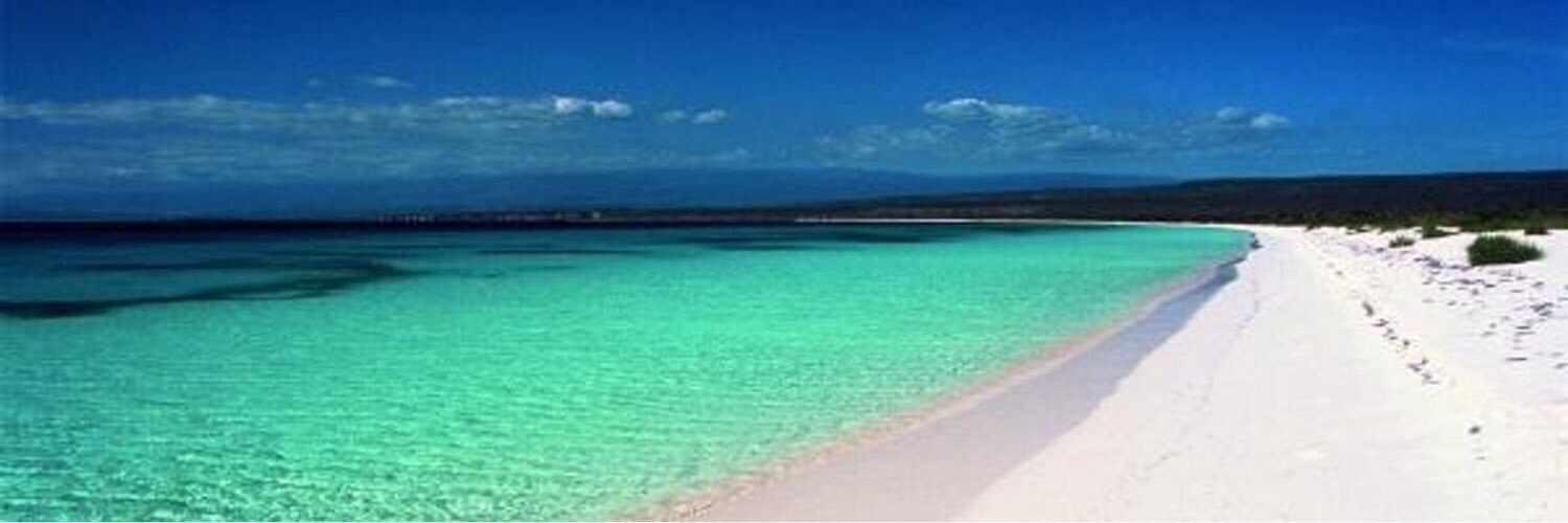 DiazNorberto's profile banner image