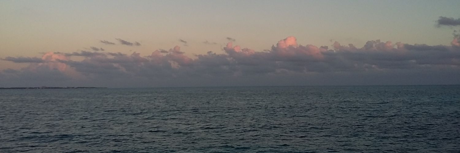 KARITOPARRA's profile banner image