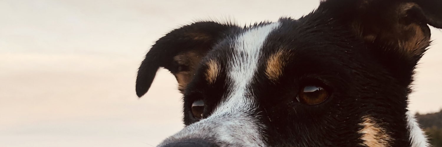 kenzhens's profile banner image